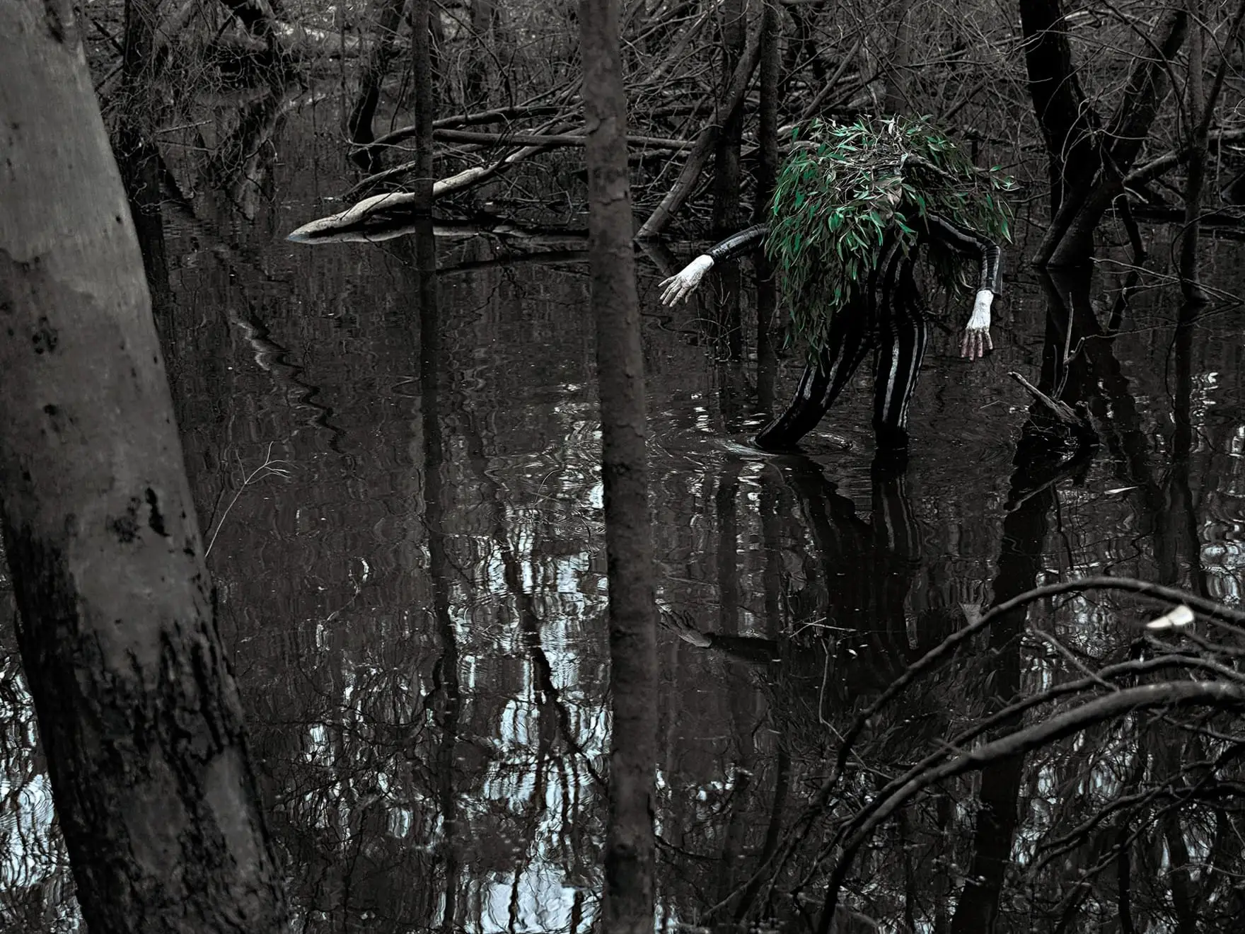 Jill Orr_ Same Place Different Time 3704_  Hybrid  Bush  Bird _Sensing _3704