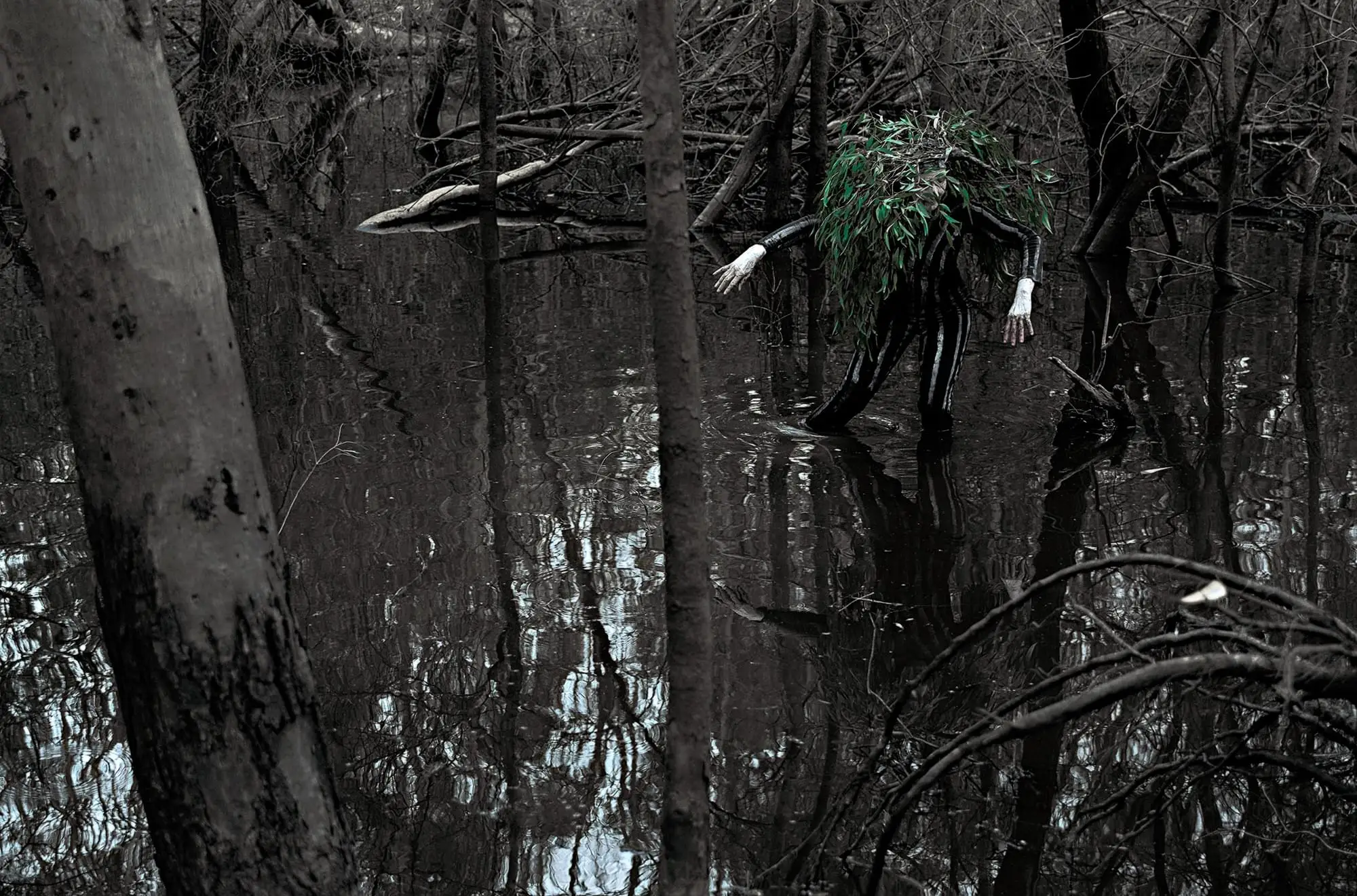 Jill Orr_ Same Place Different Time 3704_  Hybrid  Bush  Bird _Sensing _3704