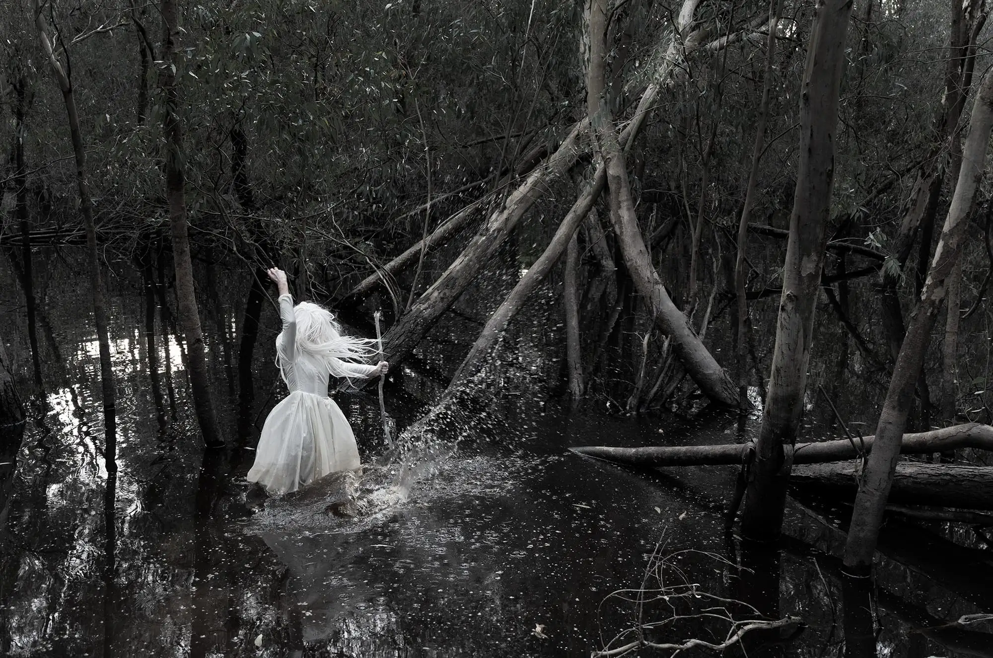 Jill Orr_Same Time Different Place_  Making Waves_ 6765_