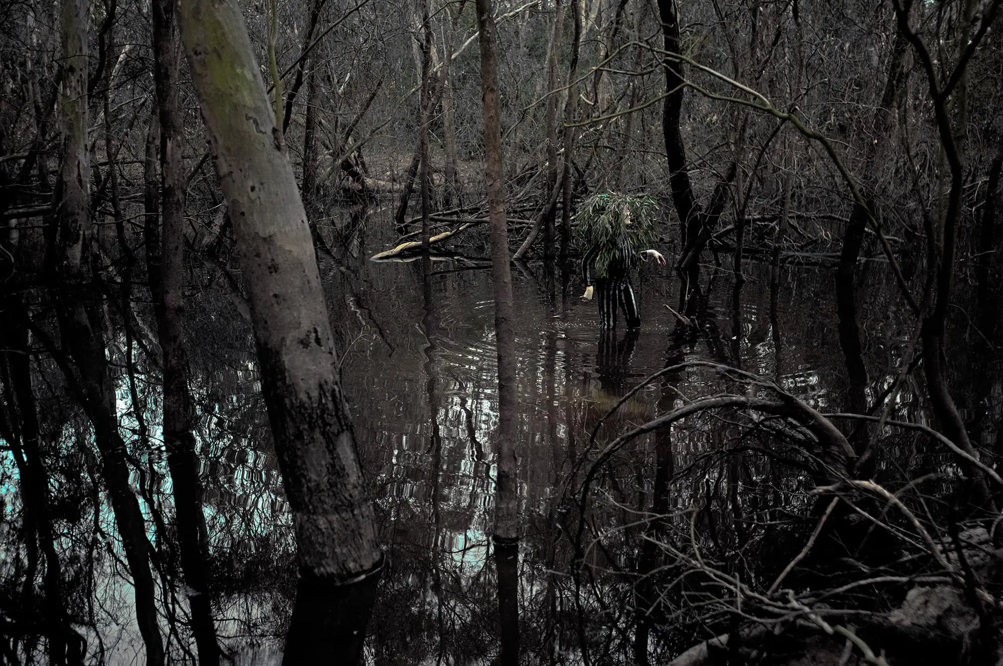 Same Place Different Time_ Hybrid Bush Bird_Still_ 5471_