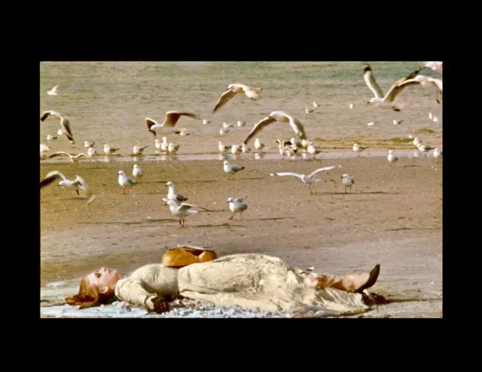 LUNCH WITH THE BIRDS