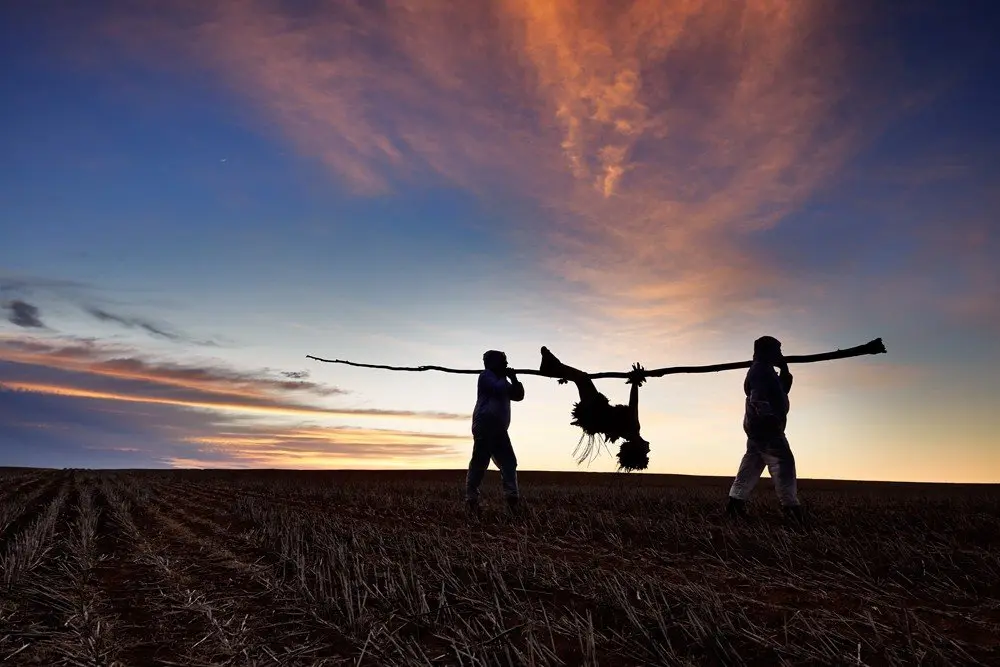 ANTIPODEAN EPIC - BIRD (SECTION ONE)