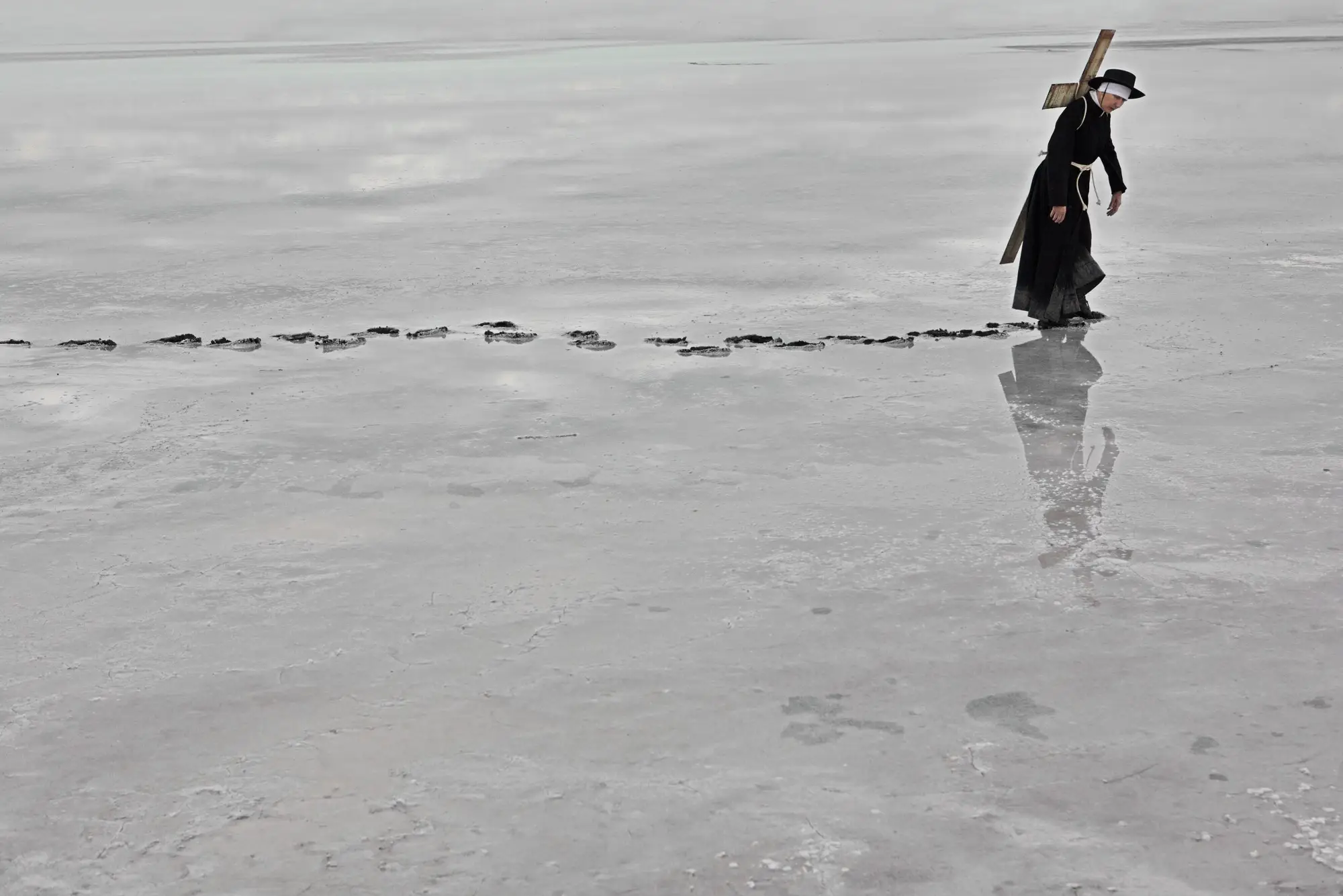 Southern Cross Reclaimed Missionary 1