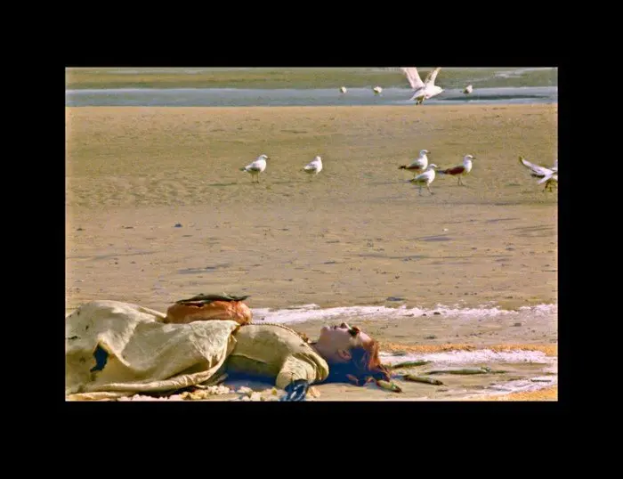 LUNCH WITH THE BIRDS