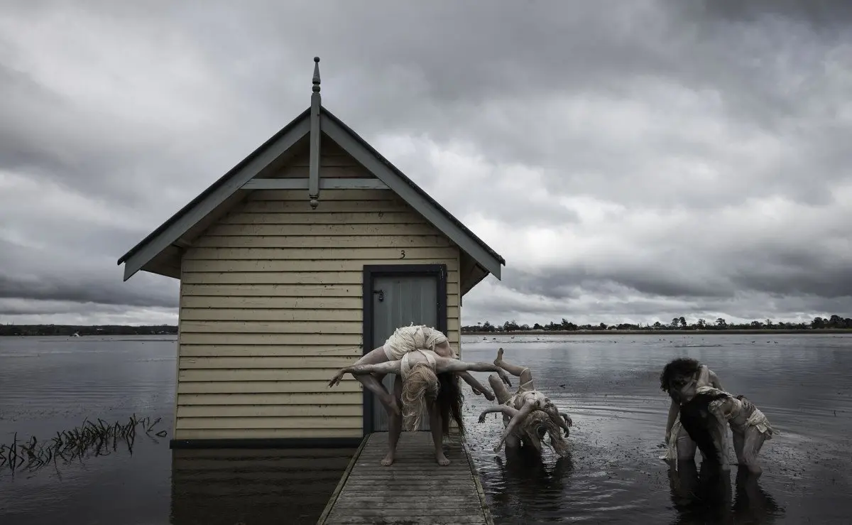 Cracks in the seams - Boat House Birds