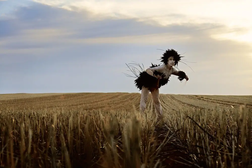 ANTIPODEAN EPIC - BIRD (SECTION ONE)