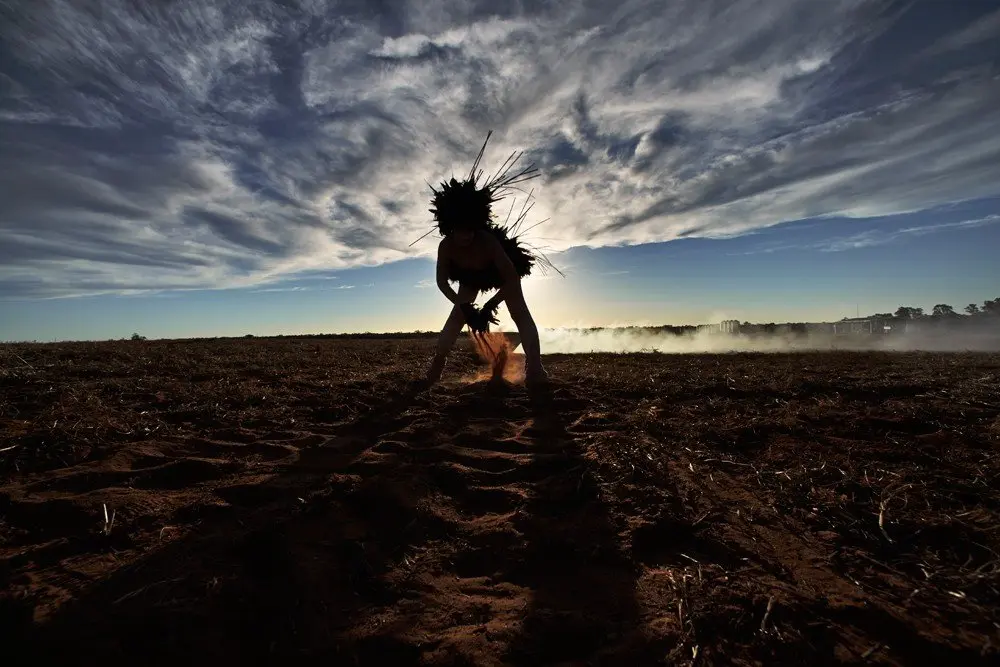 ANTIPODEAN EPIC - BIRD (SECTION ONE)