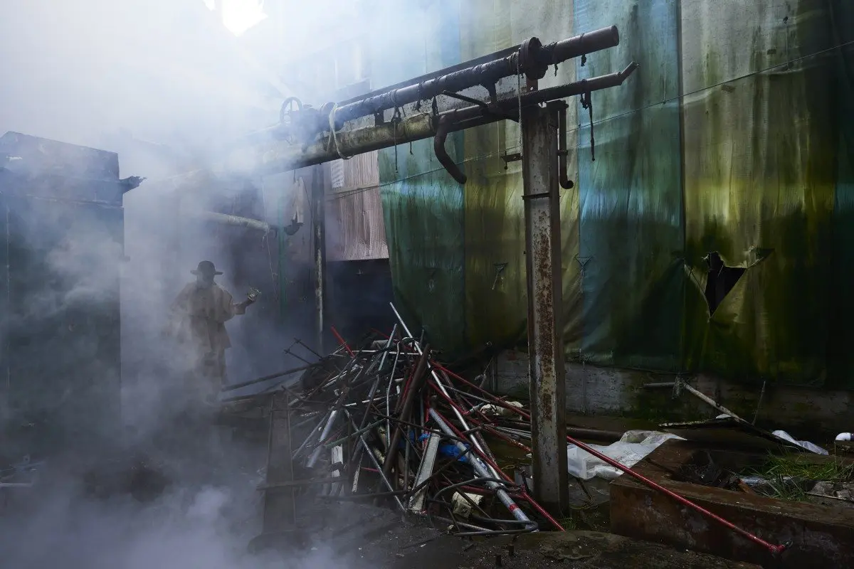 Detritus Springs - Planting Future