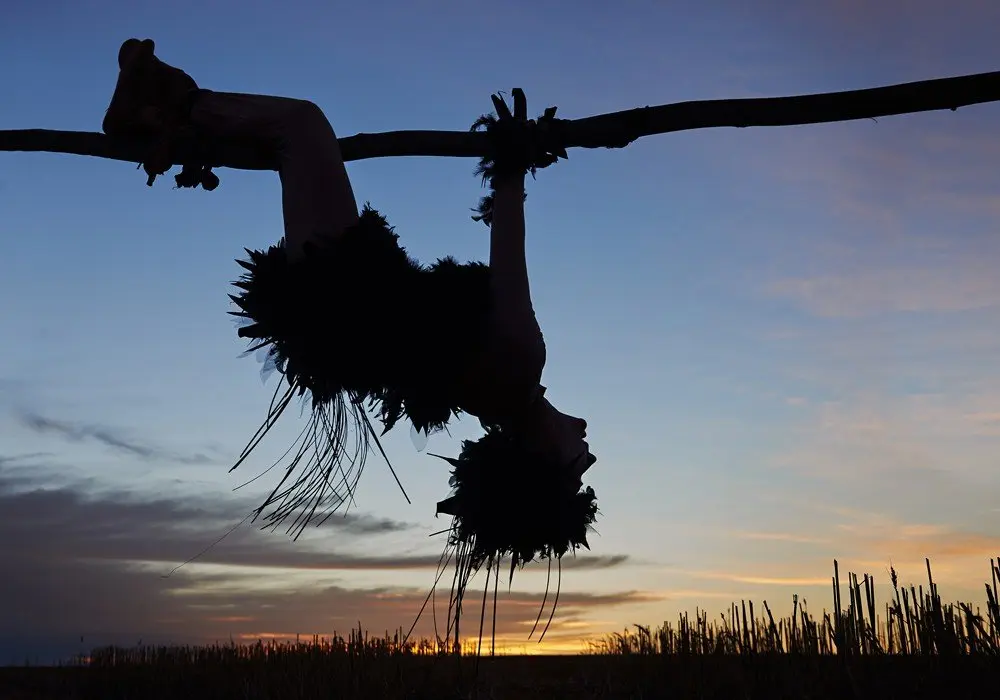 ANTIPODEAN EPIC - BIRD (SECTION ONE)