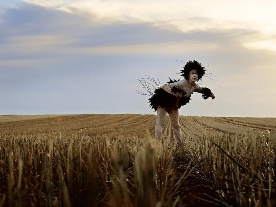 ANTIPODEAN EPIC - BIRD (SECTION ONE)