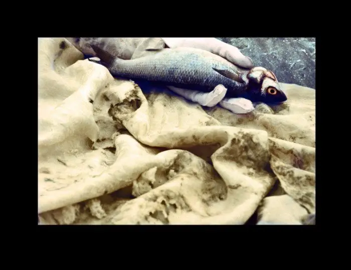 LUNCH WITH THE BIRDS