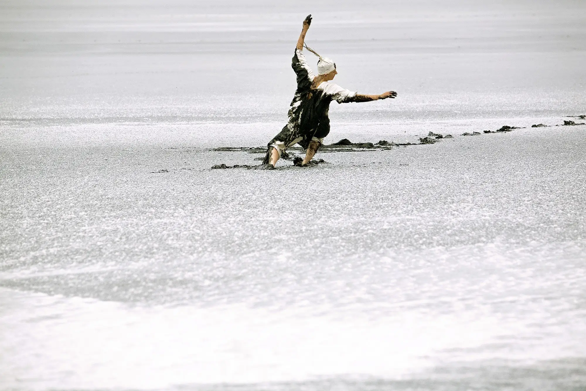 Southern Cross Reclaimed Falling and Flight 2