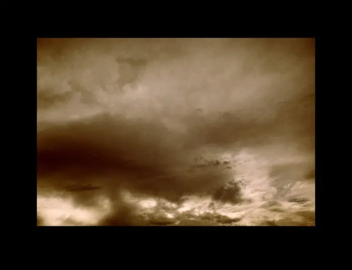 LUNCH WITH THE BIRDS