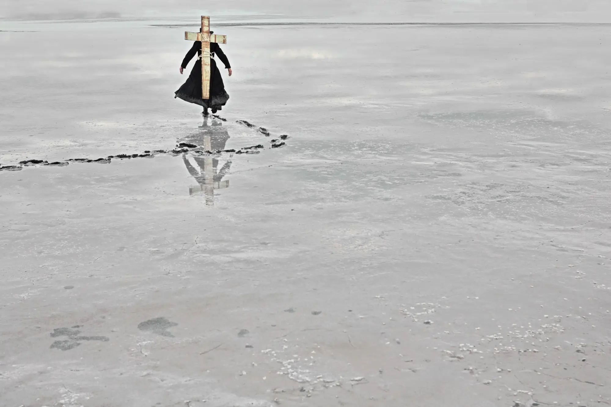 Southern Cross Reclaimed Missionary 3