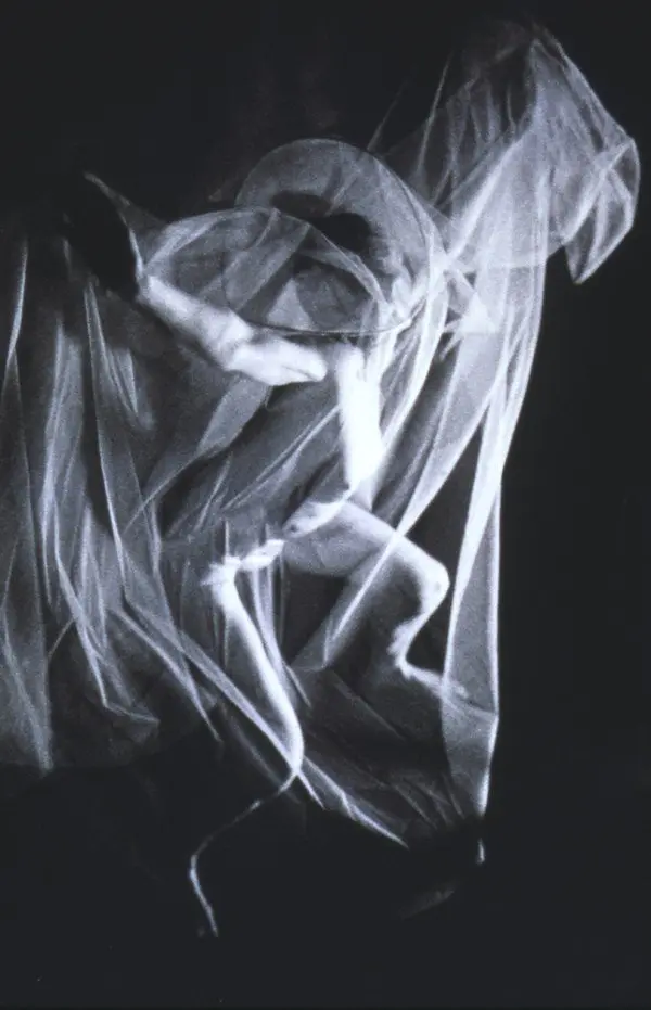 MARRIAGE OF THE BRIDE TO ART