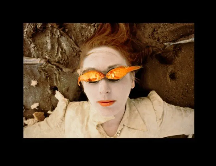 LUNCH WITH THE BIRDS