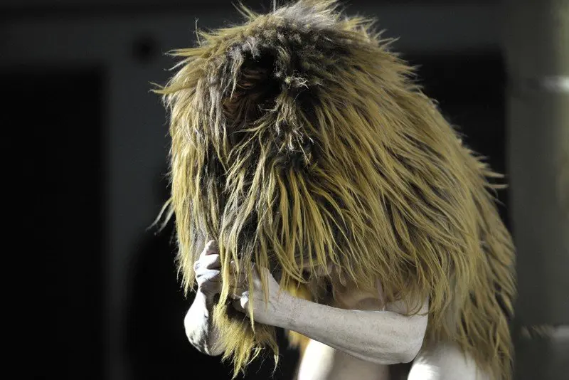 TRILOGY, WE CREATE THE IMAGE TOGETHER