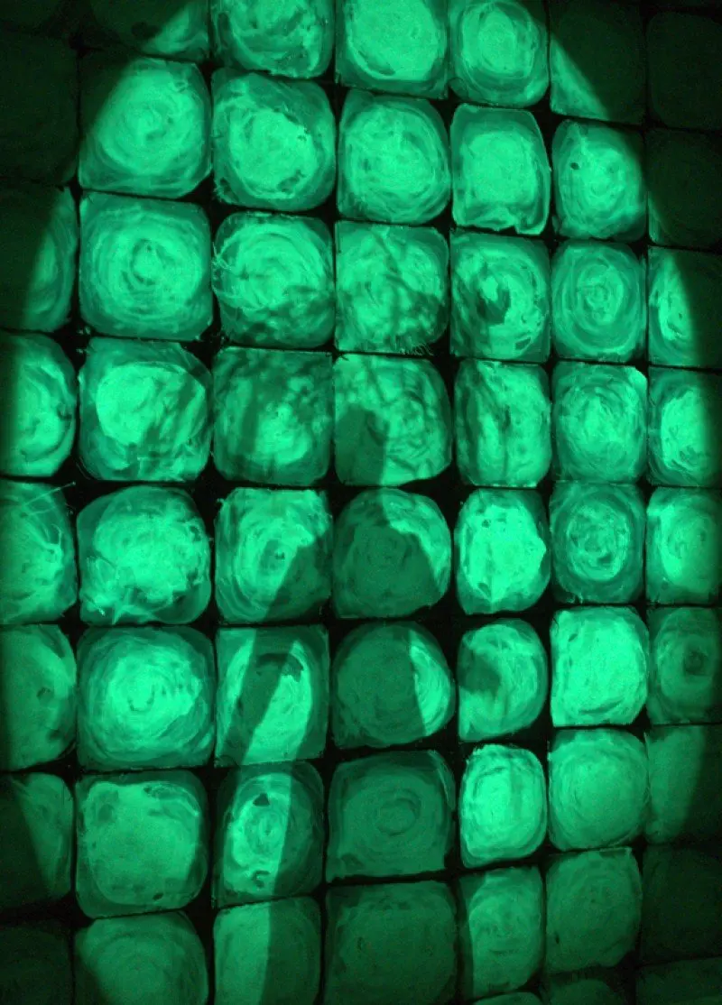 TRILOGY, WE CREATE THE IMAGE TOGETHER