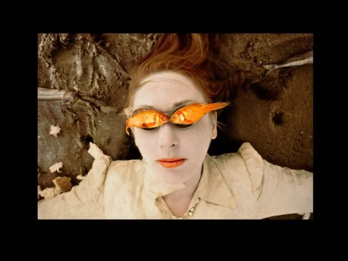 LUNCH WITH THE BIRDS