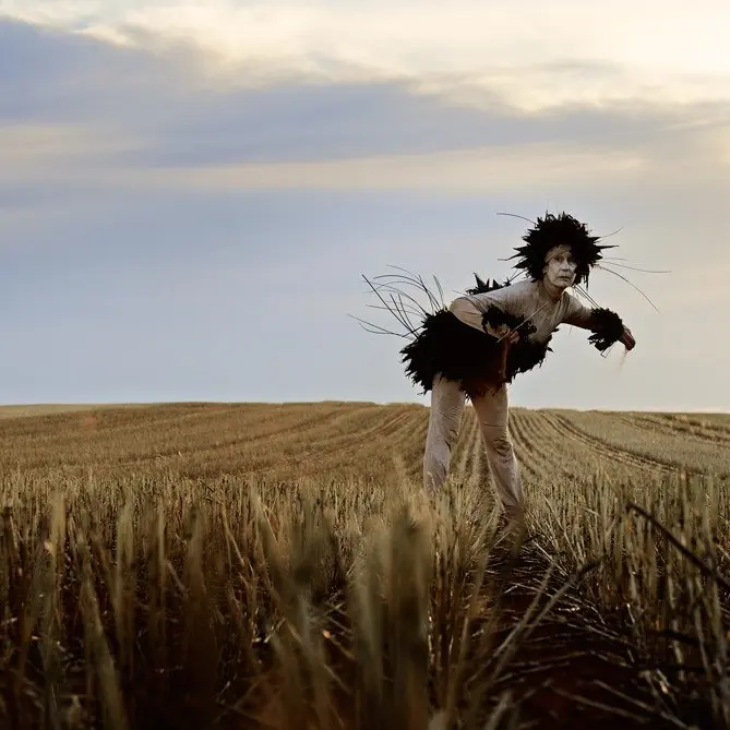 ANTIPODEAN EPIC - BIRD (SECTION ONE)