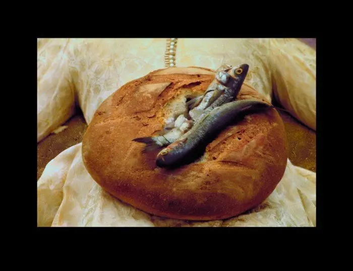 LUNCH WITH THE BIRDS