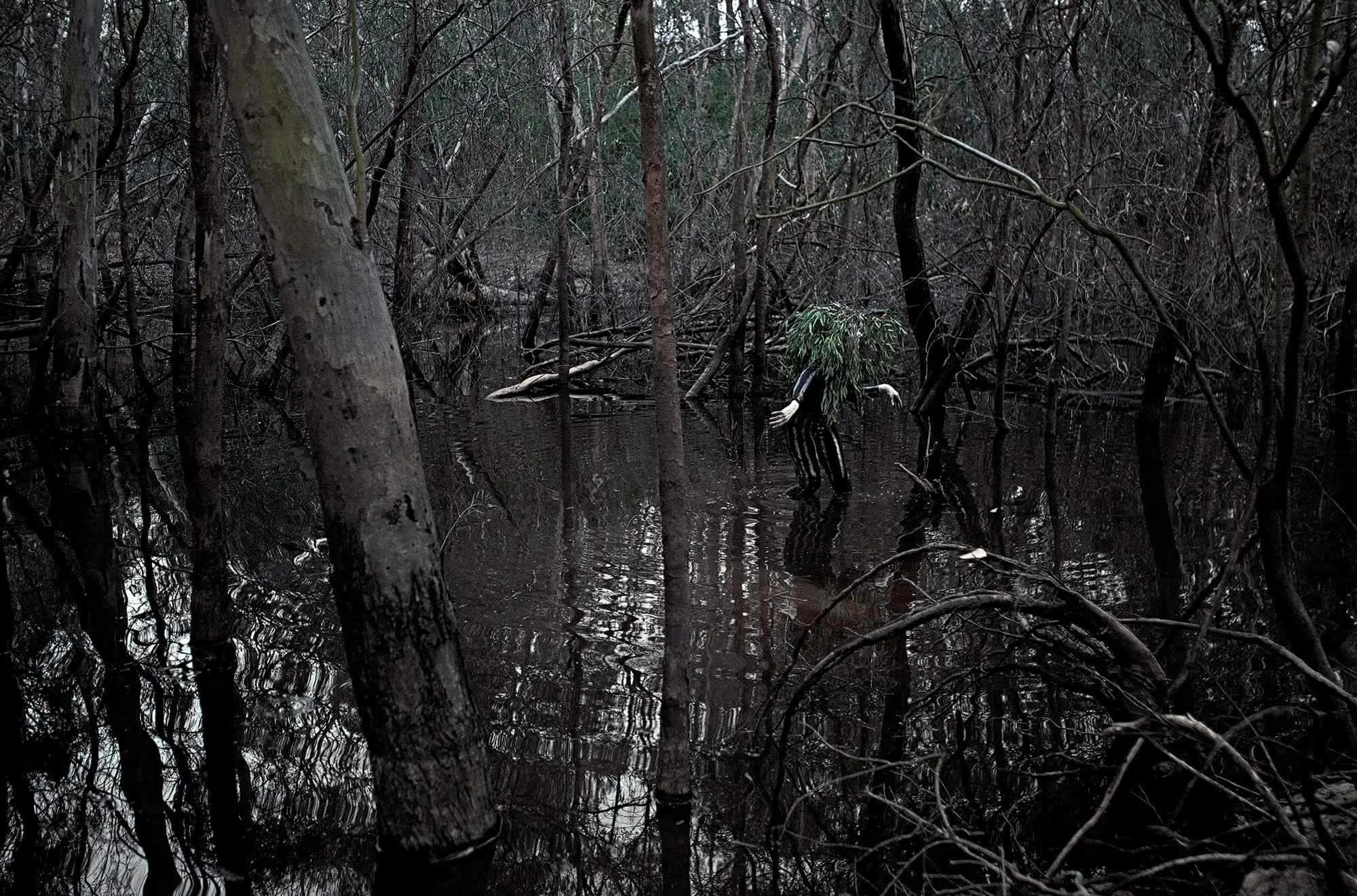 Jill Orr_ Same Place Different Time _ Hybrid Bird_alert_ 5474