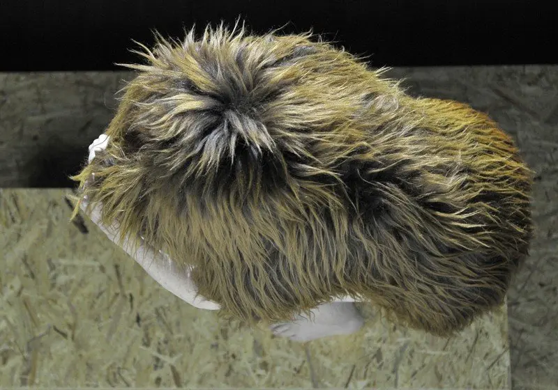 TRILOGY, WE CREATE THE IMAGE TOGETHER