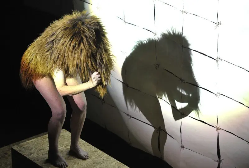 TRILOGY, WE CREATE THE IMAGE TOGETHER